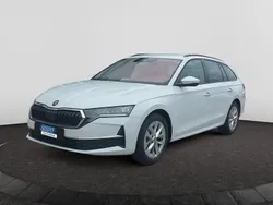 Moonweiss metallic Gebraucht 2024 Skoda Octavia Kombi | 29.285 € (Guter Preis)