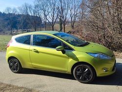 Grün Gebraucht 2010 Ford Fiesta Kleinwagen | 3.000 € (Fairer Preis)