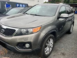 Grau Gebraucht 2011 Kia Sorento SUV | 5.200 € (Fairer Preis)