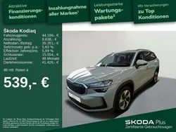 Grau Gebraucht 2024 Skoda Kodiaq Selection SUV | 44.189 € (Fairer Preis)