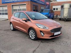 Braun Gebraucht 2017 Ford Fiesta Titanium Kleinwagen | 11.500 € (Fairer Preis)