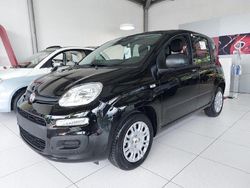 Schwarz Neu 2025 Fiat Panda Kleinwagen | 14.990 € (Fairer Preis)