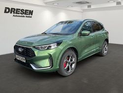 Gruen Gebraucht 2024 Ford Kuga ST-Line X SUV | 44.650 €