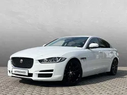 Weiß Gebraucht 2019 Jaguar XE Pure Limousine | 16.450 € (Superpreis)