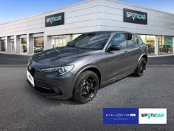 Schwarz Gebraucht 2021 Alfa Romeo Stelvio Quadrifoglio SUV | 49.990 € (Superpreis)