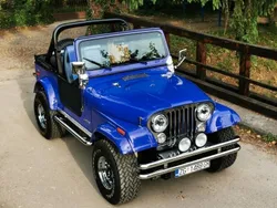 Violett Gebraucht 1979 Jeep CJ SUV | 28.000 €
