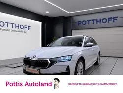 Weiss Gebraucht 2024 Skoda Octavia Selection Kombi | 29.177 € (Guter Preis)