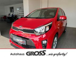 Rot Gebraucht 2021 Kia Picanto DREAM-TEAM Edition Kleinwagen | 10.992 € (Fairer Preis)