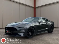 Grau Gebraucht 2019 Ford Mustang GT ST | 43.590 € (Teuer)