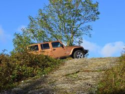Braun Gebraucht 2012 Jeep Wrangler Unlimited SUV | 19.700 € (Etwas zu teuer)