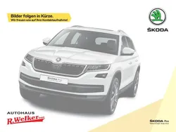 Graphitegrau metallic Neu 2025 Skoda Elroq Loft SUV | 50.240 € (Teuer)