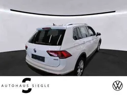 Weiß Gebraucht 2019 VW Tiguan Highline SUV | 24.880 € (Guter Preis)