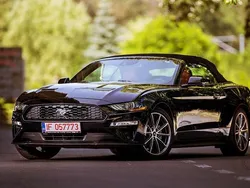 Schwarz Gebraucht 2019 Ford Mustang Cabrio | 26.000 € (Guter Preis)
