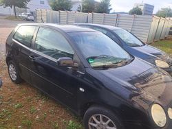 Schwarz Gebraucht 2004 VW Polo Kleinwagen | 1.300 € (Fairer Preis)