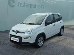 Weiß Neu 2024 Fiat Panda Kleinwagen | 12.499 € (Guter Preis)