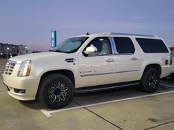 Weiß Gebraucht 2007 Cadillac Escalade SUV | 14.550 €