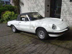 Alfa Romeo Spider