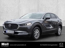 Grau Gebraucht 2024 Mazda CX-30 Homura-Line SUV | 26.890 €