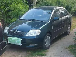 Grün Gebraucht 2002 Toyota Corolla Sol Limousine | 4.000 € (Etwas zu teuer)