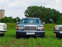Blau Gebraucht 1991 Mercedes S420 SE Limousine | 15.900 €