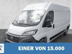 Weiß Gebraucht 2023 Fiat Ducato Van | 30.820 € (Etwas zu teuer)