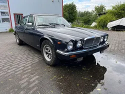 Blau Gebraucht 1984 Jaguar XJ12 Limousine | 3.690 €