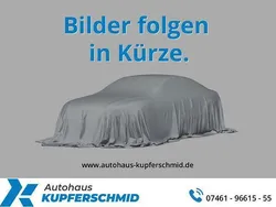 Grau Gebraucht 2020 Ford Ranger Wildtrack Abholung | 29.990 € (Guter Preis)