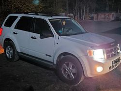 Weiß Gebraucht 2008 Ford Escape XLT SUV | 14.900 €