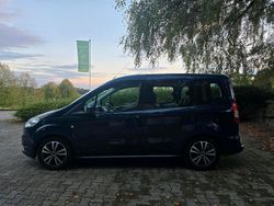 Blau Gebraucht 2014 Ford Tourneo Courier Van / Kleinbus | 5.900 € (Etwas zu teuer)