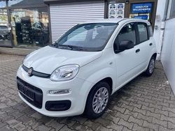 Weiss Neu 2025 Fiat Panda Kleinwagen | 15.490 € (Fairer Preis)