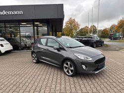 Grau Gebraucht 2018 Ford Fiesta Active Kleinwagen | 9.980 € (Guter Preis)