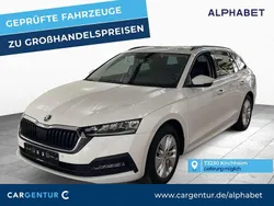 Candy weiss uni Gebraucht 2021 Skoda Octavia Ambition Kombi | 15.207 € (Superpreis)