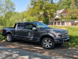 Grau Gebraucht 2014 Ford F-150 Platinum Abholung | 29.500 € (Fairer Preis)