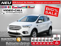 Frostweiß Gebraucht 2019 Ford Kuga Cool & Connect SUV | 12.480 € (Superpreis)