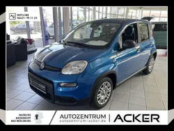 Schwarz Gebraucht 2024 Fiat Panda Kleinwagen | 13.880 € (Fairer Preis)