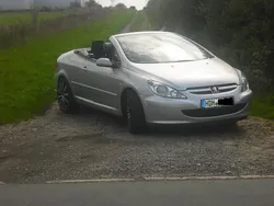 Silber Gebraucht 2005 Peugeot 307 CC Cabrio | 12.990 €