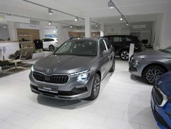 Graphitegrau metallic, graphi Neu 2025 Skoda Kamiq Tour SUV | 33.450 € (Etwas zu teuer)