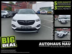 Jade weiß Gebraucht 2020 Opel Grandland X SUV | 16.490 € (Fairer Preis)