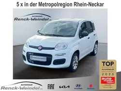 Weiss Gebraucht 2017 Fiat Panda Kleinwagen | 12.989 € (Etwas zu teuer)