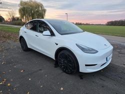 Weiß Gebraucht 2023 Tesla Model Y RWD SUV | 33.000 € (Fairer Preis)