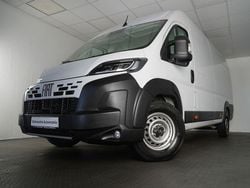 Weiss Gebraucht 2024 Fiat Ducato S Van | 28.350 € (Superpreis)
