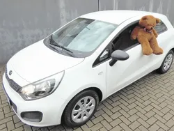 Weiß Gebraucht 2013 Kia Rio Kleinwagen | 7.211 € (Fairer Preis)