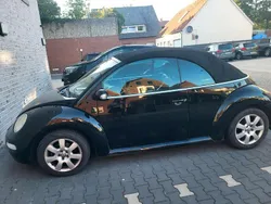 Schwarz Gebraucht 2003 VW Beetle Cabrio | 4.800 €