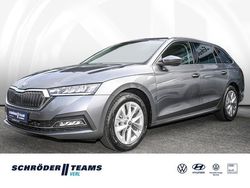 Graphite grau metallic Gebraucht 2024 Skoda Octavia Ambition Kombi | 29.750 € (Guter Preis)