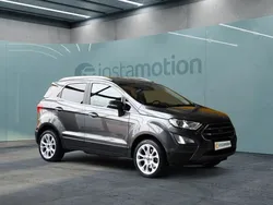 Grau Gebraucht 2020 Ford Ecosport Titanium SUV | 17.800 € (Etwas zu teuer)