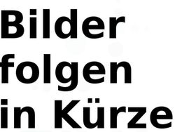 Schwarz Gebraucht 2019 Hyundai i10 Passion Plus Kleinwagen | 8.000 € (Guter Preis)