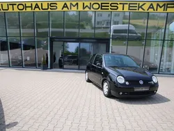 Schwarz Gebraucht 2005 VW Lupo GT Kleinwagen | 3.390 € (Fairer Preis)