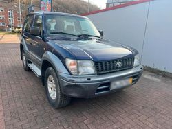 Blau Gebraucht 2000 Toyota Land Cruiser SUV | 5.450 €