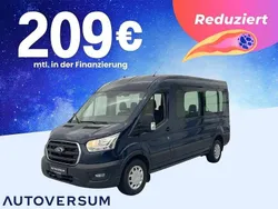 Blau Gebraucht 2020 Ford Transit Trend Van / Kleinbus | 24.985 € (Fairer Preis)