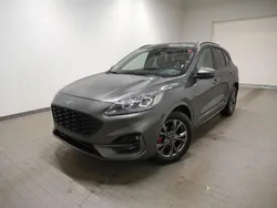 Grau Gebraucht 2024 Ford Kuga ST-Line X SUV | 25.480 € (Guter Preis)